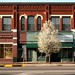 Douglas Francis Photo 21