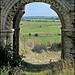 Lynn Norman Photo 33