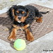 Charles Grady Photo 24