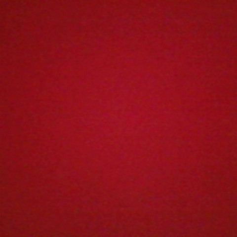 Nicolas Roth Photo 17