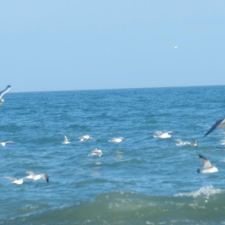 Kathy Graham Photo 7