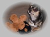 Patricia Russell Photo 20