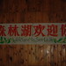 Lin Hu Photo 30