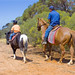 David Rode Photo 10