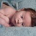 Willis Anderson Photo 21