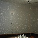 Frances Baxter Photo 26