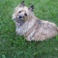 Susan Eagan Photo 5