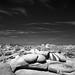 Joshua Stone Photo 24