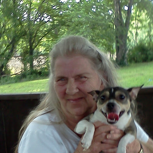 Joyce Loveless Photo 13