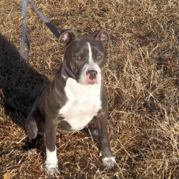 Rose Roberson Photo 32