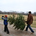 Justin Cole Photo 16