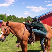Susan Neff Photo 32