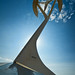 Darrell Summers Photo 23