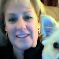 Amy Wolfe Photo 18