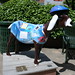 Kathleen Corcoran Photo 21