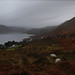 Ruthann Grey Photo 7