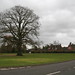 Norman Hanley Photo 5