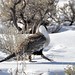 Linda Sager Photo 11