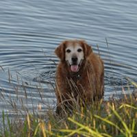 Susan Hibbs Photo 14