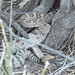 Katherine Steelman Photo 7