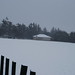 Pat Toole Photo 10