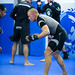 David Branch Photo 42