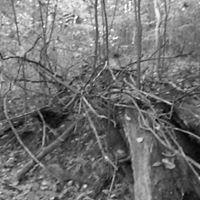 Keith Lane Photo 28