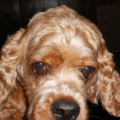 Ginger Walker Photo 16