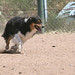 Kimberly Olson Photo 12