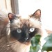 Raquel Swan Photo 9
