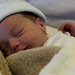 Sylvia Webber Photo 6