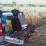 Wesley Mitchell Photo 15