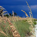 Harold Weathers Photo 10