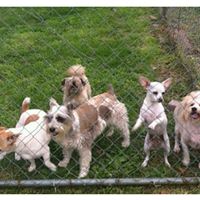 Debra Busse Photo 6