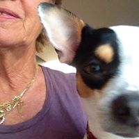 Alice Sherman Photo 20