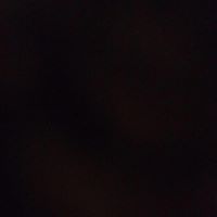 Bradley Bell Photo 11