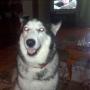 Allison Watts Photo 21