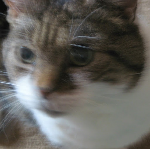 Debra Gray Photo 43