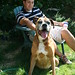 Richard Love Photo 13