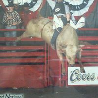Mark Mcnutt Photo 21
