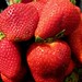 Maria Berry Photo 22