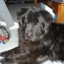 Barbara Hoover Photo 21