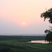 Linh Hoang Photo 18