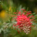 Robyn Gordon Photo 36