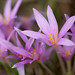 Steven Meadows Photo 21