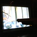 Louise Buck Photo 28