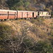 Lorri Sharp Photo 7