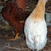 Wendy Eggers Photo 11