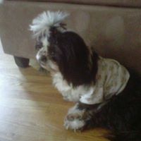 Judith Russo Photo 25