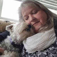Cindy Tanner Photo 16